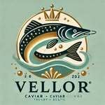 470950464_3854636588087791_6022284190899699814_n