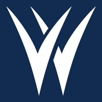 Image of the post