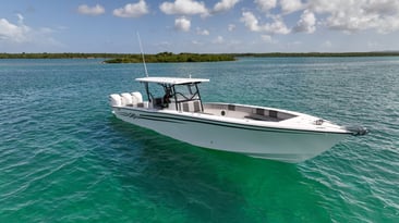 KSB-Assassin-DJI_0088