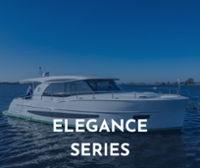 Elegance Series Icon-1