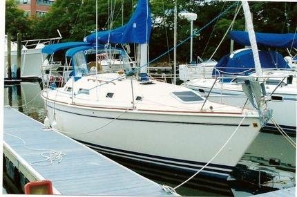 CONTIGO 31' Pearson Price Reduction