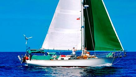 Just Reduced SHANNON 38
